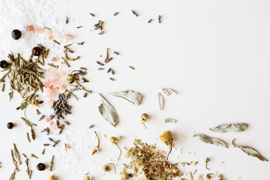 Spring Herbs | Spring Equinox Rituals: Part 1