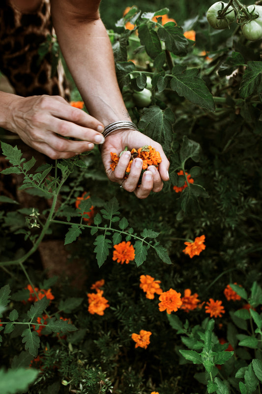 Rituals for Your Inner Green Witch