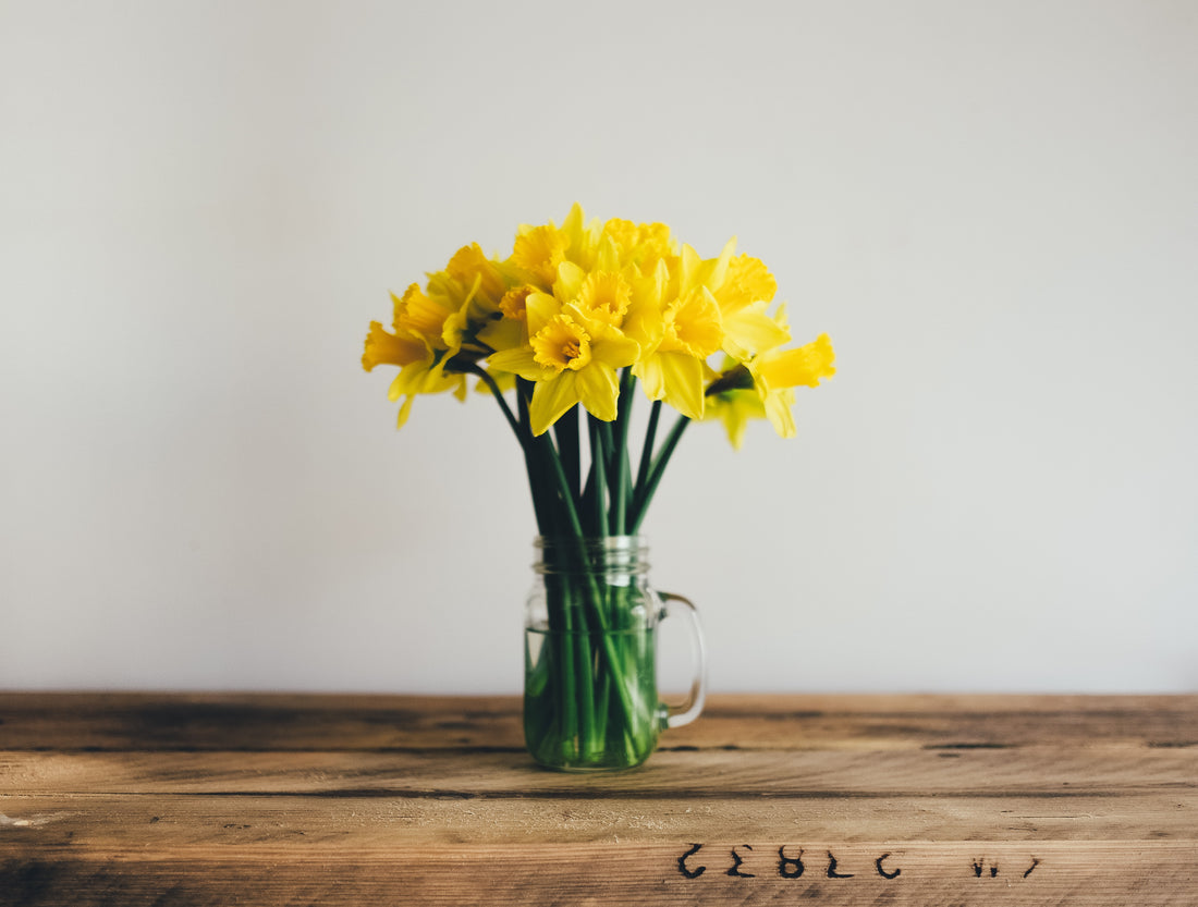 Energetic Spring Cleaning | Spring Equinox Rituals: Part 2