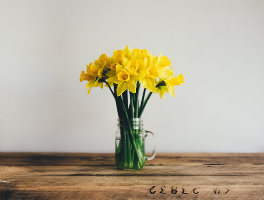 Energetic Spring Cleaning | Spring Equinox Rituals: Part 2