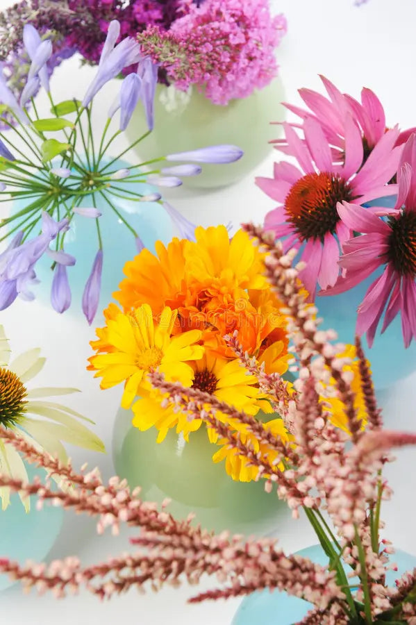 Flower Powered: 5 Botanicals that Actually Do Something for Your Skin