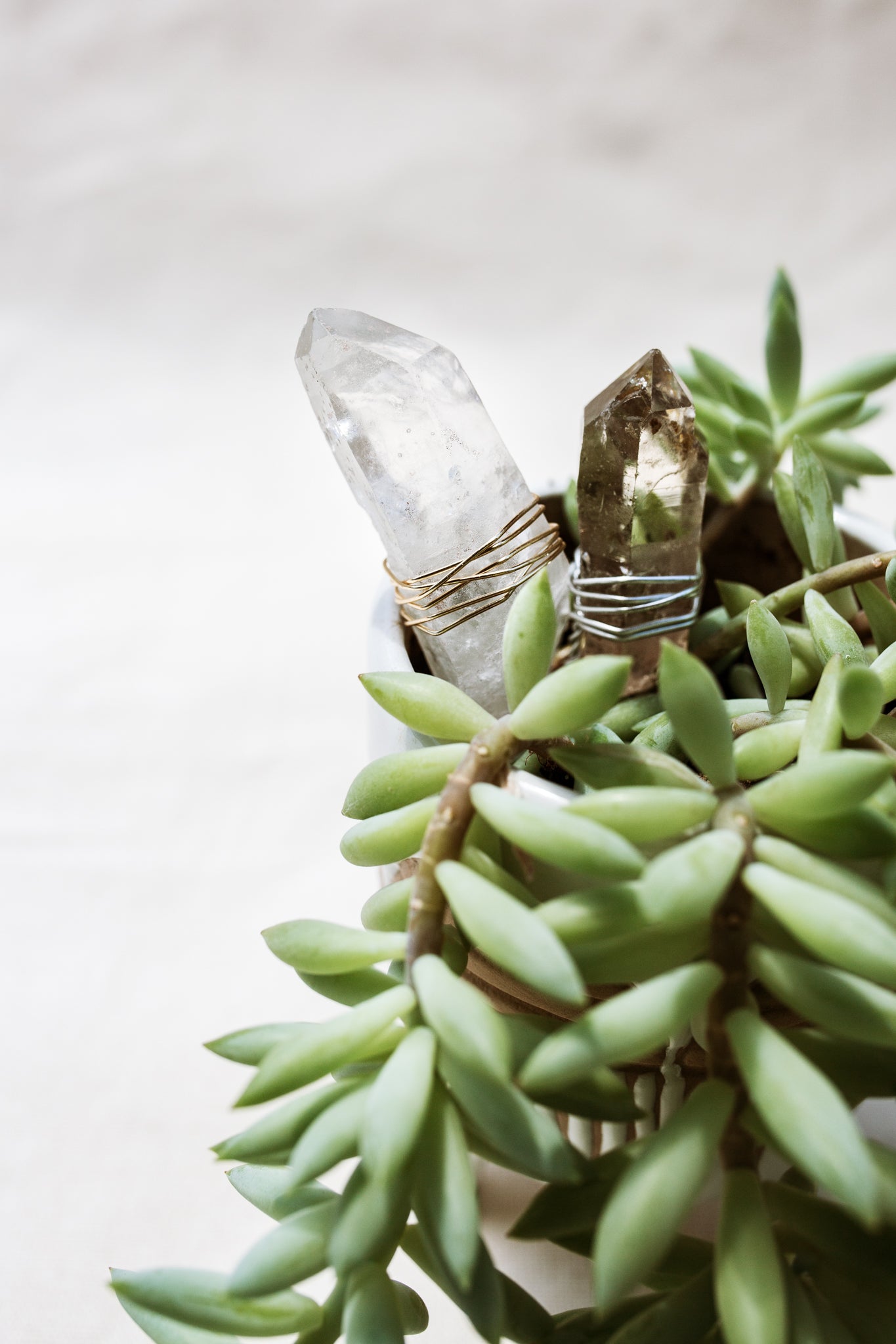 Planter Crystals